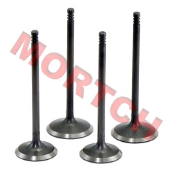 Intake & Exhaust Valve Intake & Exhaust Valve