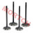 Intake & Exhaust Valve