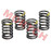 Valve Spring