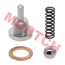 Gearshift Limit Bolt Assy