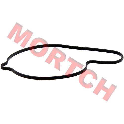 Water Pump Seal