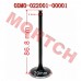 Air Intake / Exhaust Valve