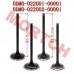 Air Intake / Exhaust Valve