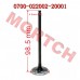 Air Intake / Exhaust Valve