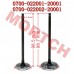 Air Intake / Exhaust Valve