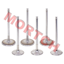Air Intake / Exhaust Valve