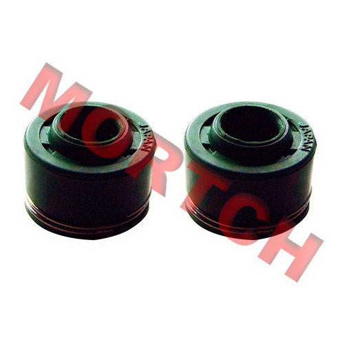 CG Oil Seal of Valve