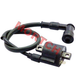 CG Coil Ignition + Spark Plug Cap