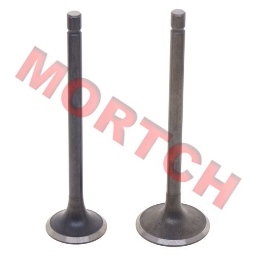 CG 150cc Inlet/Exhaust Valve