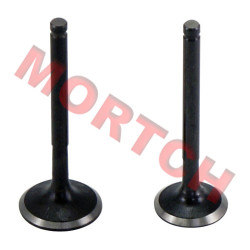 GY6 125cc Inlet/Exhaust Valve GY6 125cc Inlet/Exhaust Valve