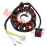 GY6 125cc 150cc 12 Pole Stator