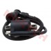 C100 Ignition Coil Assy