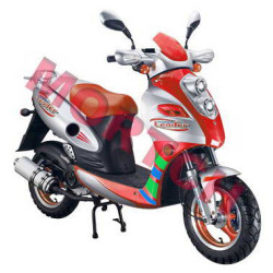 Natty D 125cc Scooter