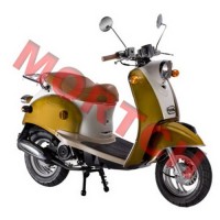 Small Turtle 50cc Scooter