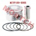 YP100 Piston Assy