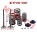 YP100 Inlet/Exhaust Valve Sets