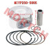 Linhai 250 Water Cooled Piston Assy