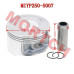 Linhai 250 Water Cooled Piston